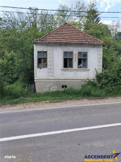 Domeniu verde autentic, +5.000mp, front la DJ, Valcele, Brasov -- Cov - 11