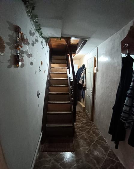 Valea Borcutului, casa 23 ari teren - 2