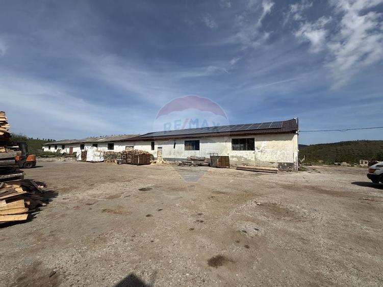 Hala-depozit de vanzare-800 mp-Sic- Investitie - 2