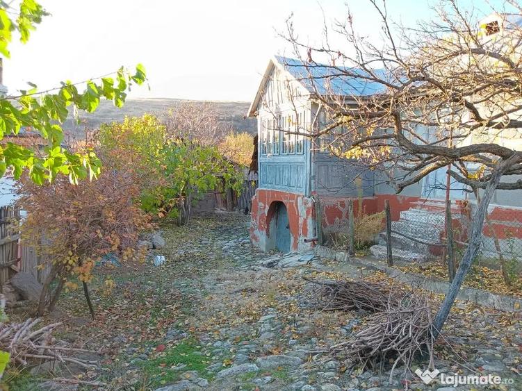 Casa batraneasca Valeanca-Vilane?ti Breaza Buzau - 5