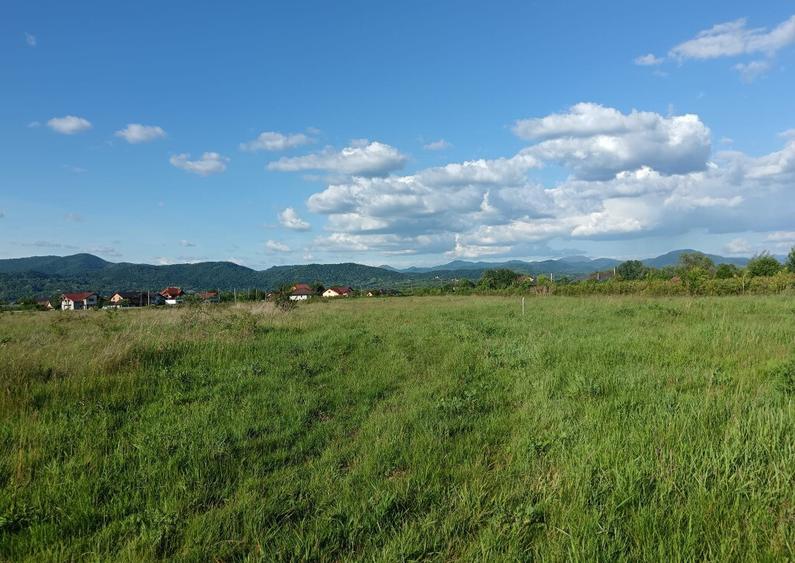 Merisor, 54 ari teren - 4