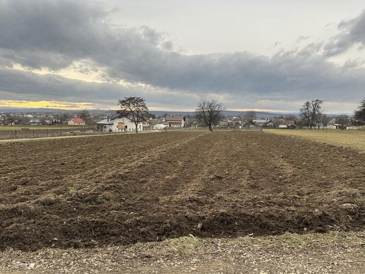 Teren intravilan in Mitocasi - 3