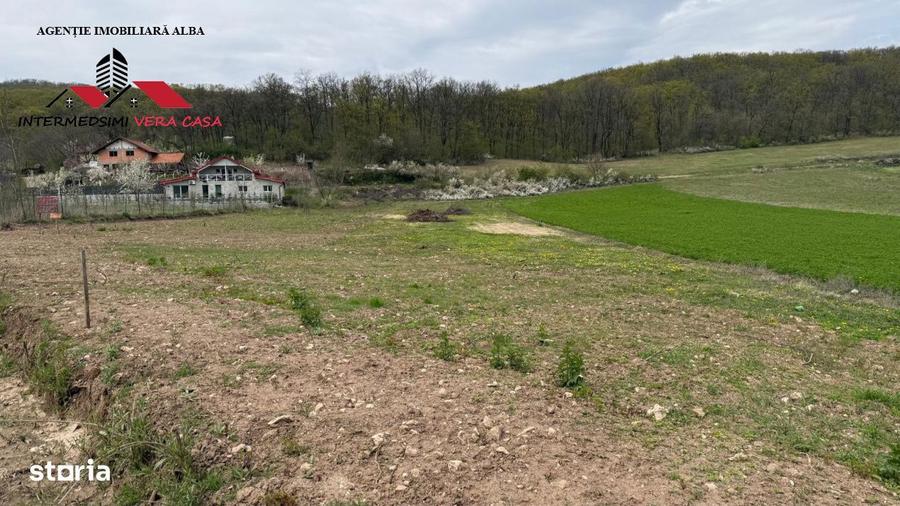 Teren intravilan 833 mp de vanzare in Ampoita Jud Alba - 4