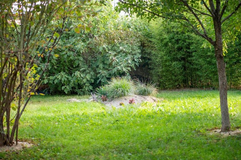 Casă / Vilă, 10 cam., potrivit azil batrani sau clinica - 5