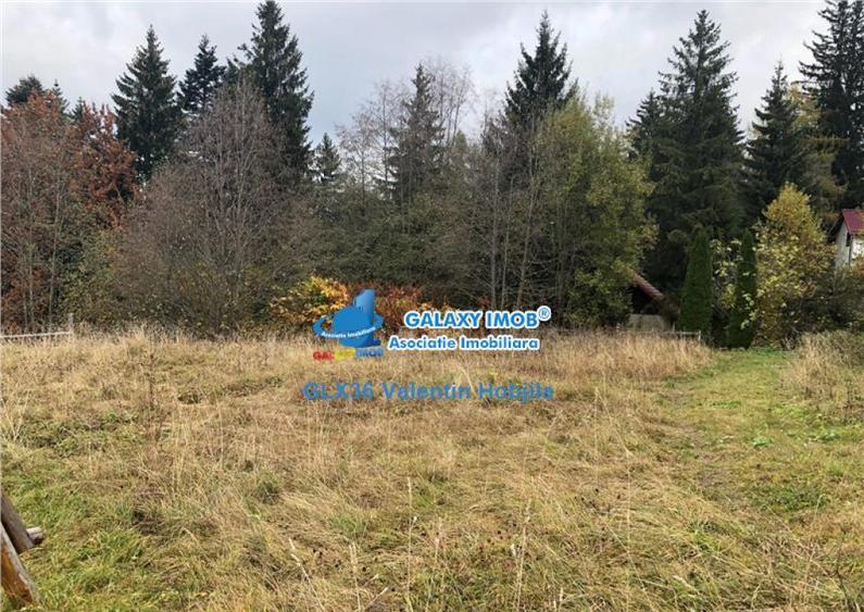 Teren 850 mp Predeal Cioplea - Belvedere - 3