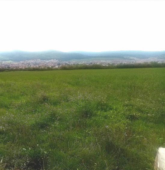 Teren intravilan 2900 mp – Florești (zona Centură Grigorescu), 114000 euro - 1