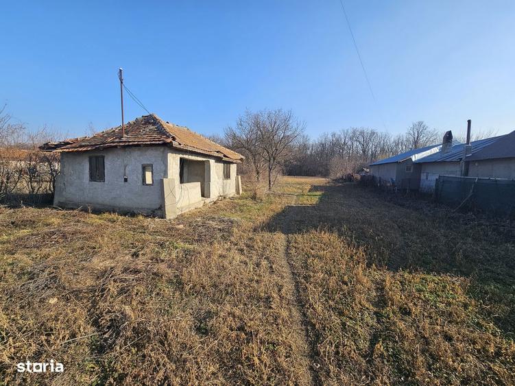 Oportunitate casa demolabila cu teren 1600m Padure Draganesti - 2