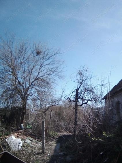 Casa Modesta de vanzare direct de la propietar - 4