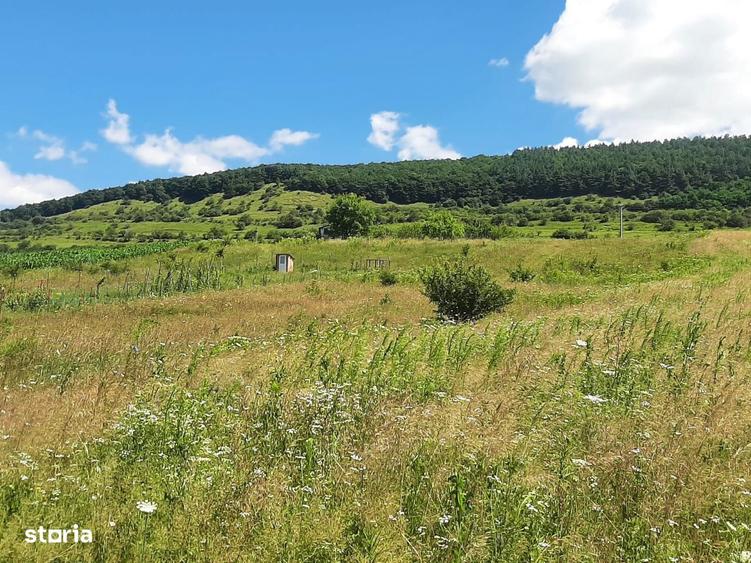 Teren de vanzare in Martinesti - 3