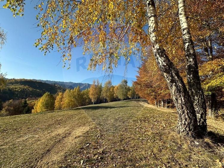 Oportunitate de investiție ! Teren de vis în Pestera - 125.370 mp - 29