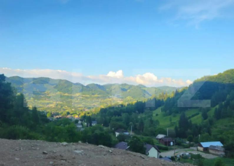 Teren de vanzare, 10.000 mp - Bistrita Bargaului, zona turis - 5