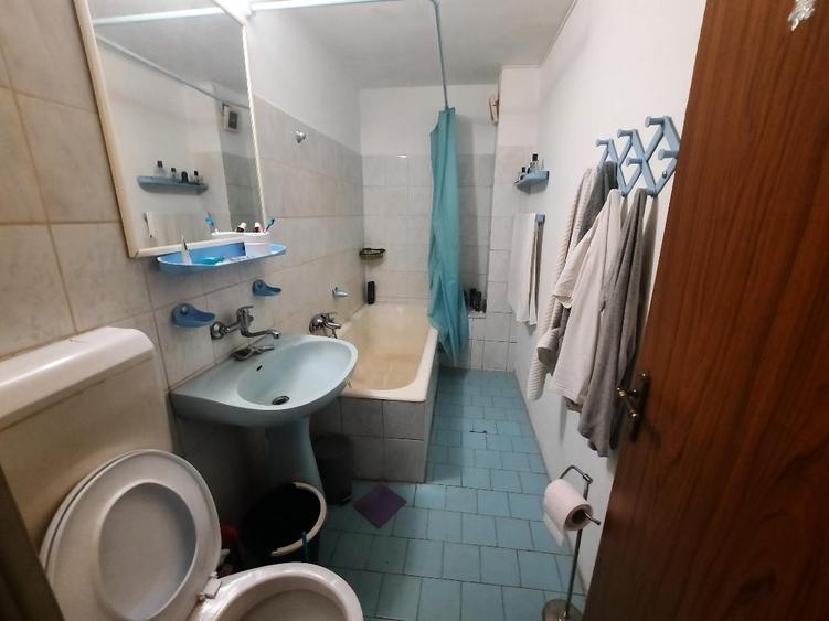 VANZARE 2 CAM 13 SEPTAMBRIE- NEDELEANU ION - 10