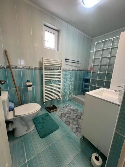 Casa 165 mp+anexa amenajata 68 mp-teren 13 ari-garaj, foisor-Jelna - 6