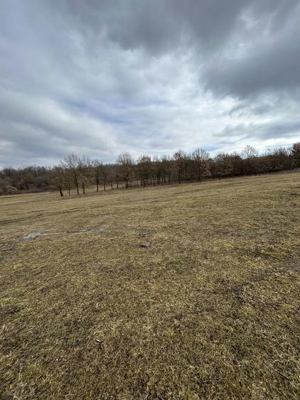 Teren de vanzare Nimigea de Jos, Taure - 3