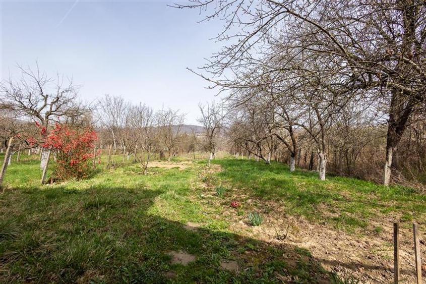 FILM! Casa  pe domeniu de 3.117 mp, Viperesti  Buzau - 6