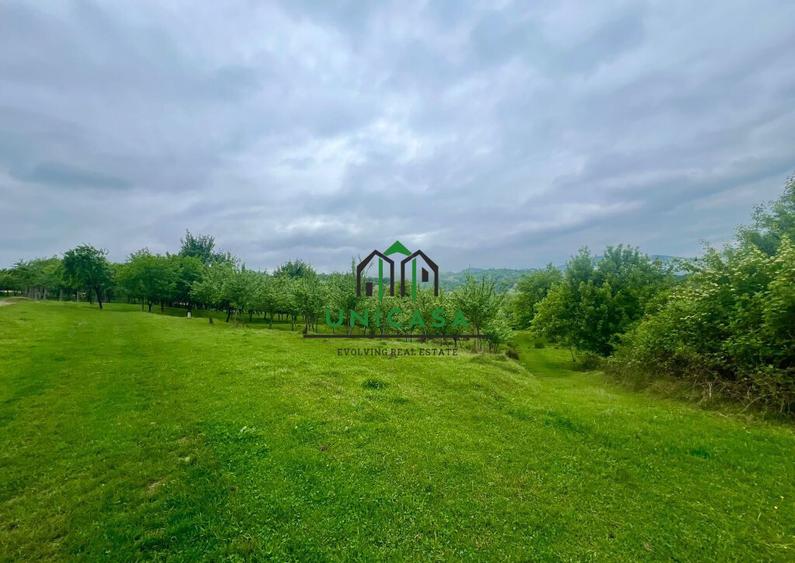 Teren 3507 mp/ Seaca/Calimanesti - 3