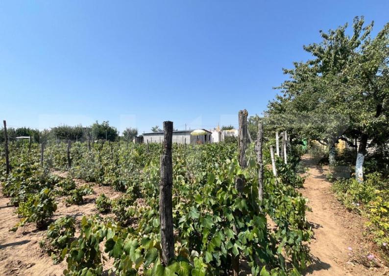 Teren 1021 mp, zona Hanul Doctorului - 1