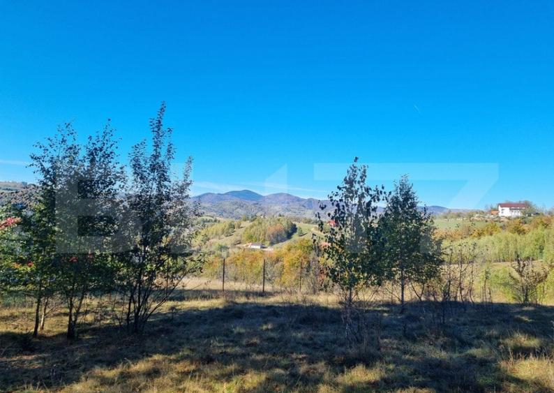 Teren pentru casute de vacanta - Poiana Marului - vedere la - 2