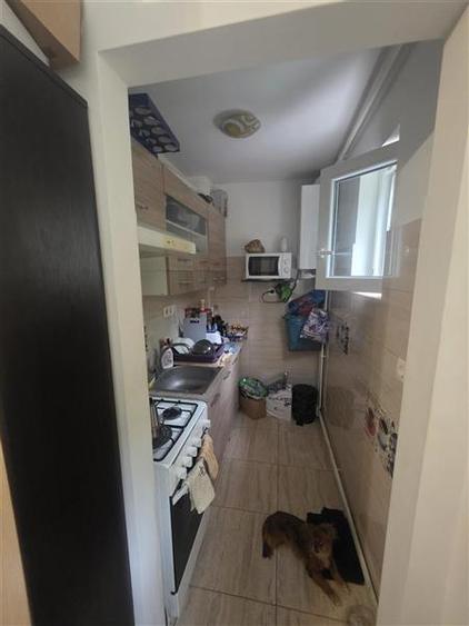 Apartament cu 2 camere nedecomandat în Mureșeni