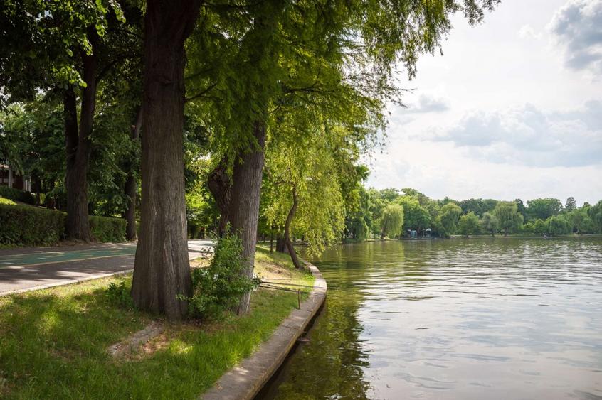 APARTAMENT 4 CAMEREXCLUSIVIST | SMART HOME | 180 MP | PARC HERASTRAU | 2 PARCARI - 1