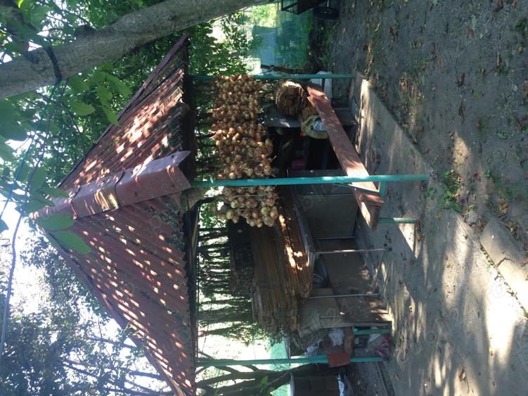 Proprietate de vanzare - 4