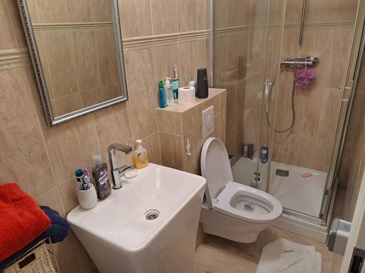 Drumul Sarii - Razoare, singur curte, constructie 2010semimobilata - 14