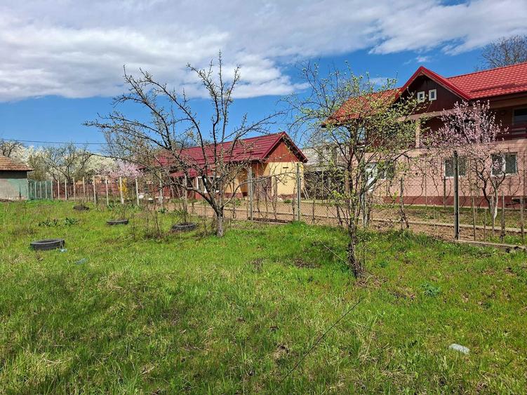 Teren intravilan premium de vanzare Snagov, Locatie exclusivista, fara riscuri - 3