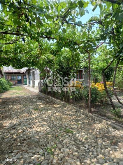 Casa la Doicesti cu teren de 1300 mp, livada si acces rapid catre Targ - 5