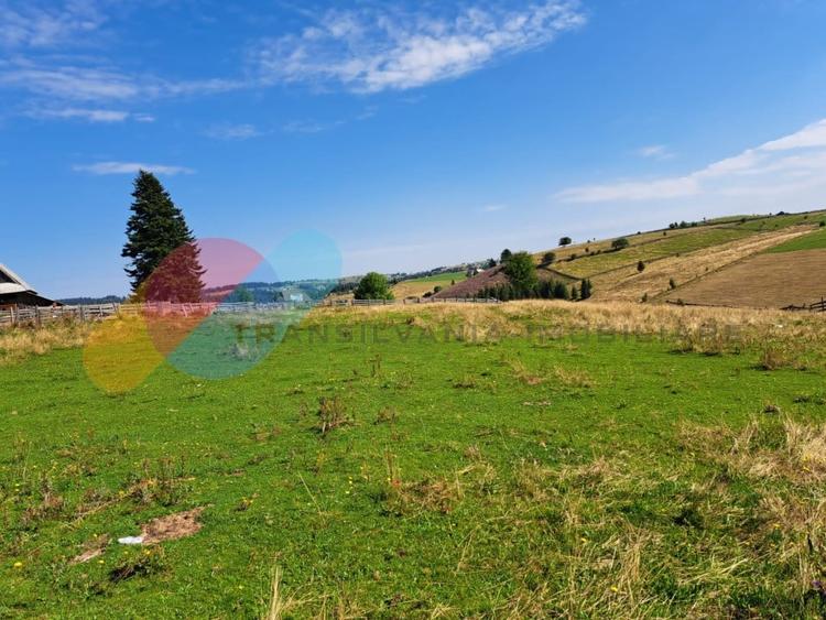 Teren Intravilan 1587 mp, Localitatea Maguri-Racatau - 10