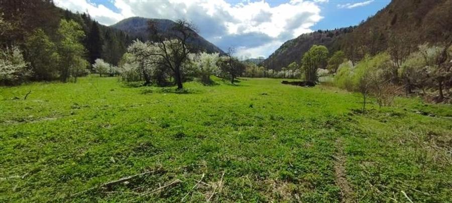 Slanic Moldova - teren 2.148 mp - 1