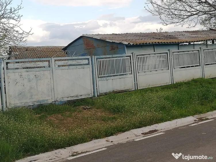 Casa de vanzare balabancea,tulcea - 4