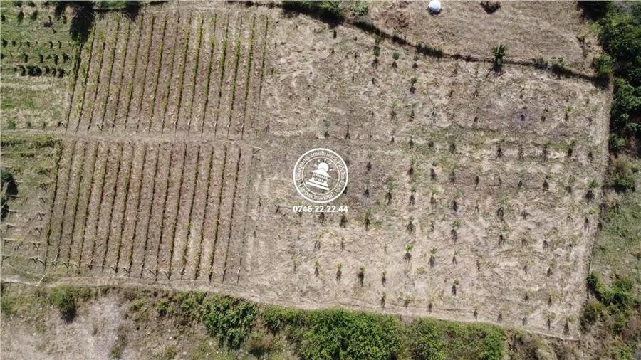 Teren pentru constructii case de vanzare Iasi, Mogosesti, - 5