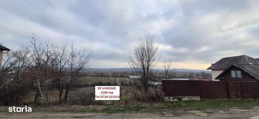 Teren de vanzare, 1290 mp, Coltau Maramures - 7