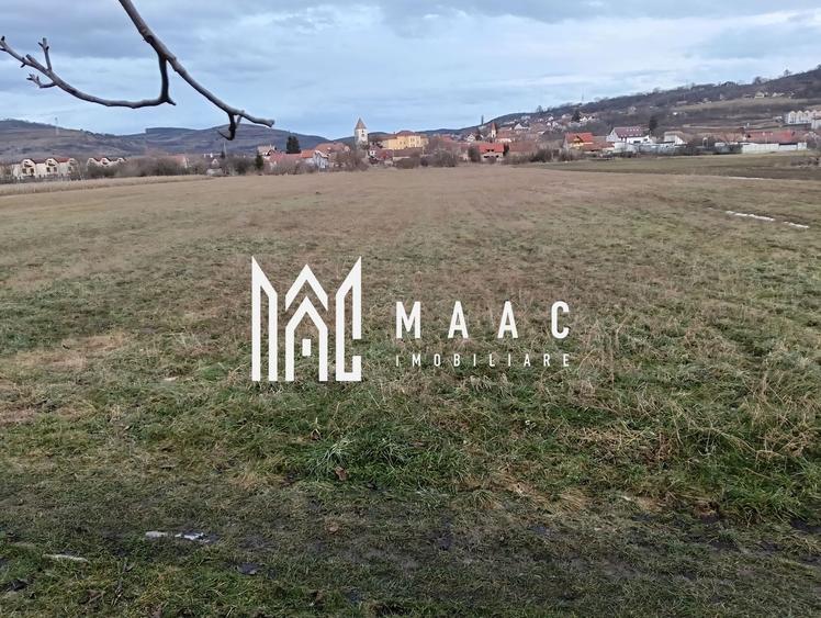Teren Intravilan | 1.800MP | Gusterita - 5