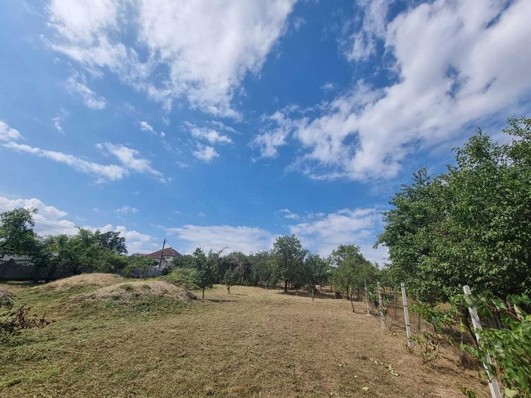 Anunt de Vanzare Teren in Viile Satu Mare Titlu: Teren Ideal pentru Constructie Strada Libertatii nr. 4 - 4