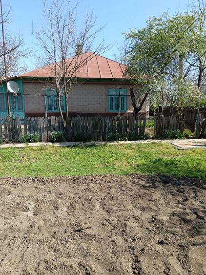 Casa si teren intravilan de vanzare - 13