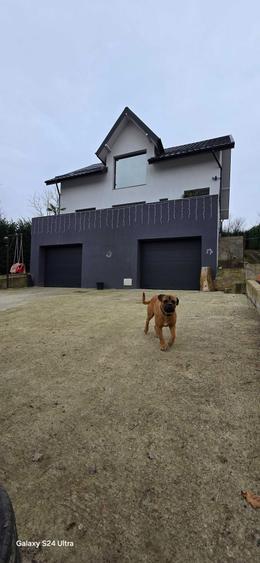 Vila D P M sos barnova - 2