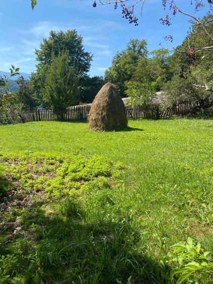 Vand teren Buhalnita - 2