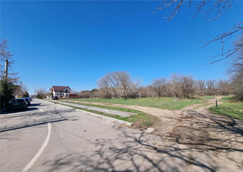 Loturi teren zona SERE Alexandria si Nanov - 18