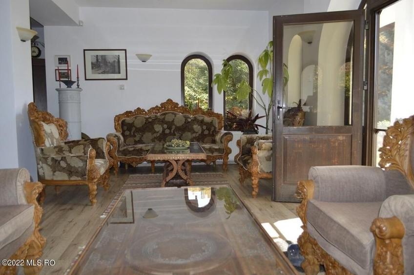 Topoloveni - Conacul Ion Mihalache, Domeniu pe 5 Hectare! - 18