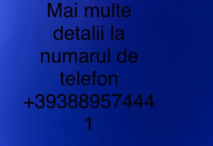 Vand casa in Sat Salajeni Judetul Arad  - 3