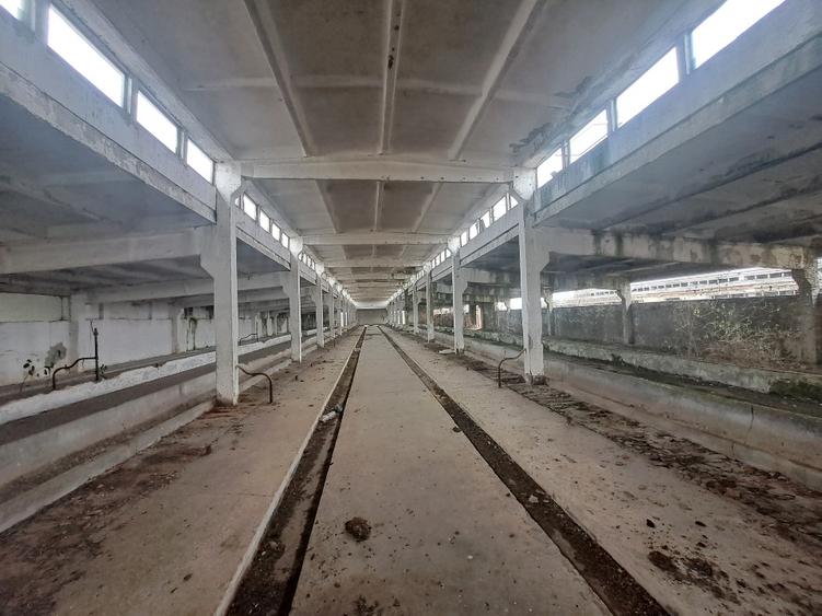 VAND HALA 2000 MP - 1