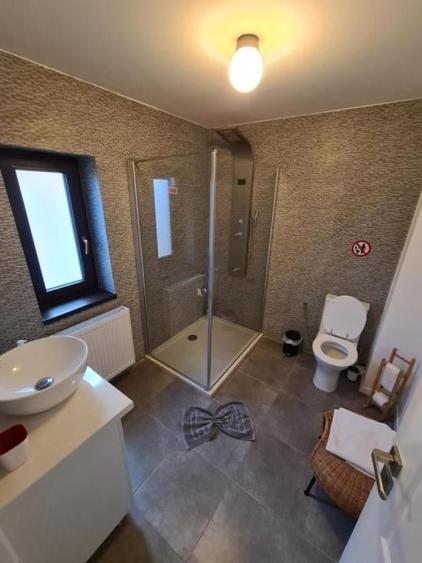 Unique aesthetic view Busteni new house 300sqm - 12