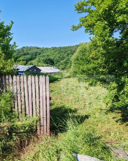 Teren intravilan 4.183 mp Cobia, sat Mislea ie?ire - 7