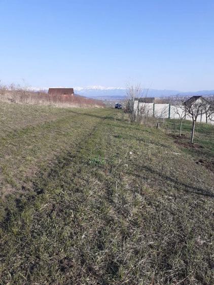Teren de 550 mp, în Șura Mare