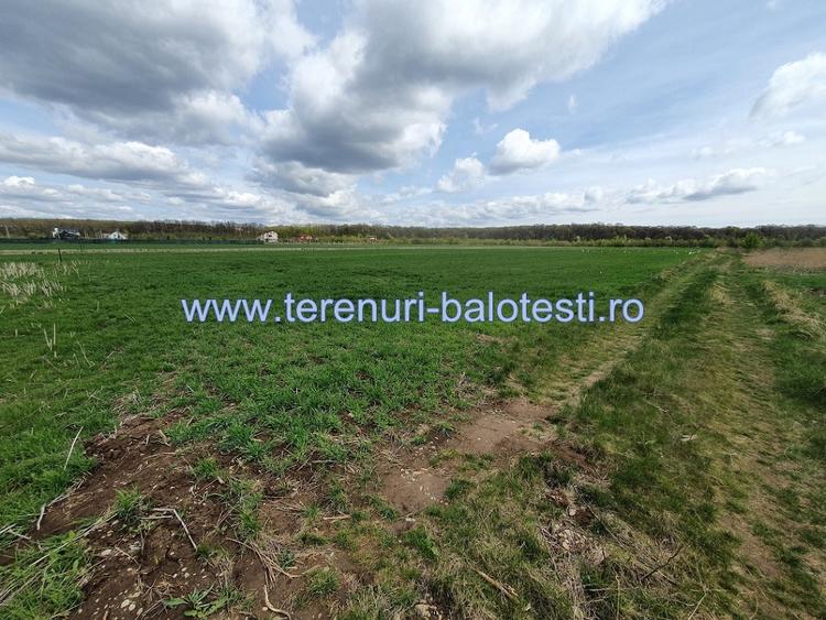 Teren langa padure si aproape utilitati,800 mp,36000 euro - 6