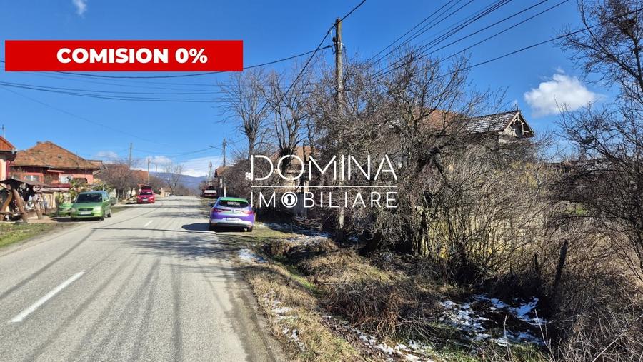 Oportunitate teren 6.504 mp – Curtisoara, la 11 km distanta de Targu Jiu - 1