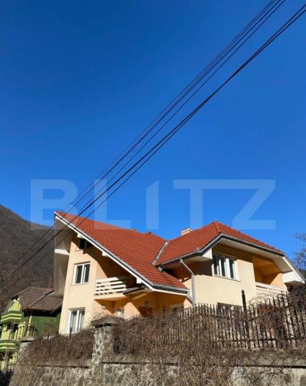 Vila 7 camere, 750mp-teren, BAILE HERCULANE - 13