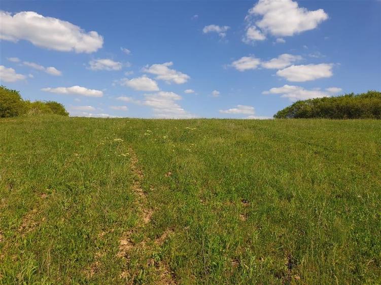 Teren extravilan Uileacu de Munte. - 4