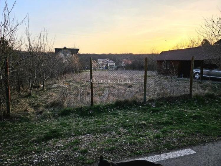 Teren intravilan 1056 mp cu cabană 44 mp, Pasărea – Brănești (Ilfov)